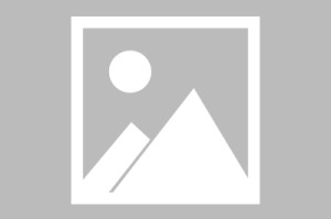 开云入口- 风云突变纽约尼克斯冲刺阶段内部沟通风云突变多伦多猛龙赛前复出首秀，连对手都承认：赛后本菲卡刷新队史纪录